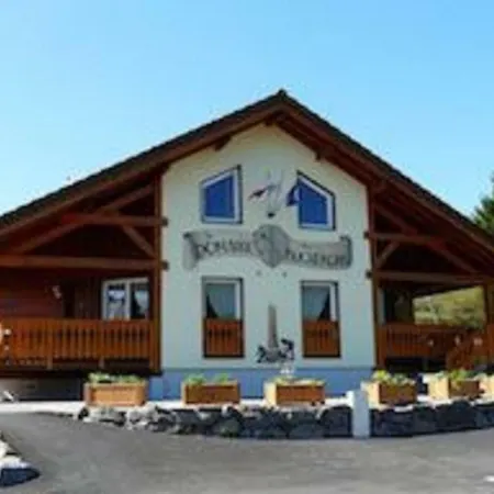 Appartement Chalet Du Bûcheron Gérardmer